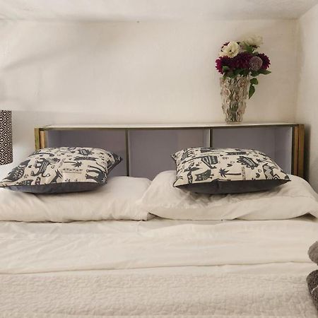 Fabulous Rooftop 2 Colonial Room For 4 سانتو دومينجو المظهر الخارجي الصورة